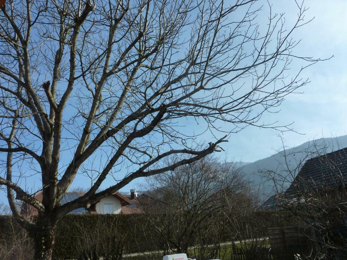 Studio 30 M2 Jardinet 10Minutes Annecy Villa Naves-Parmelan Eksteriør bilde